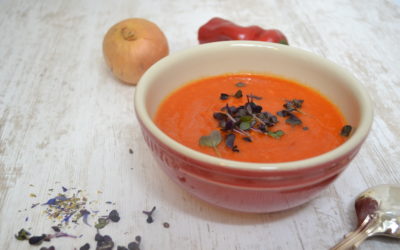 Tomaten-Paprika Suppe