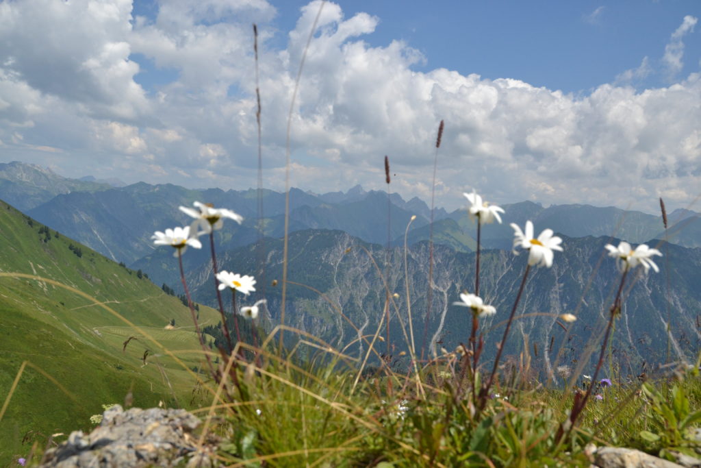 Alpenrausch warum ich die Berge so liebe • neuelebenslust